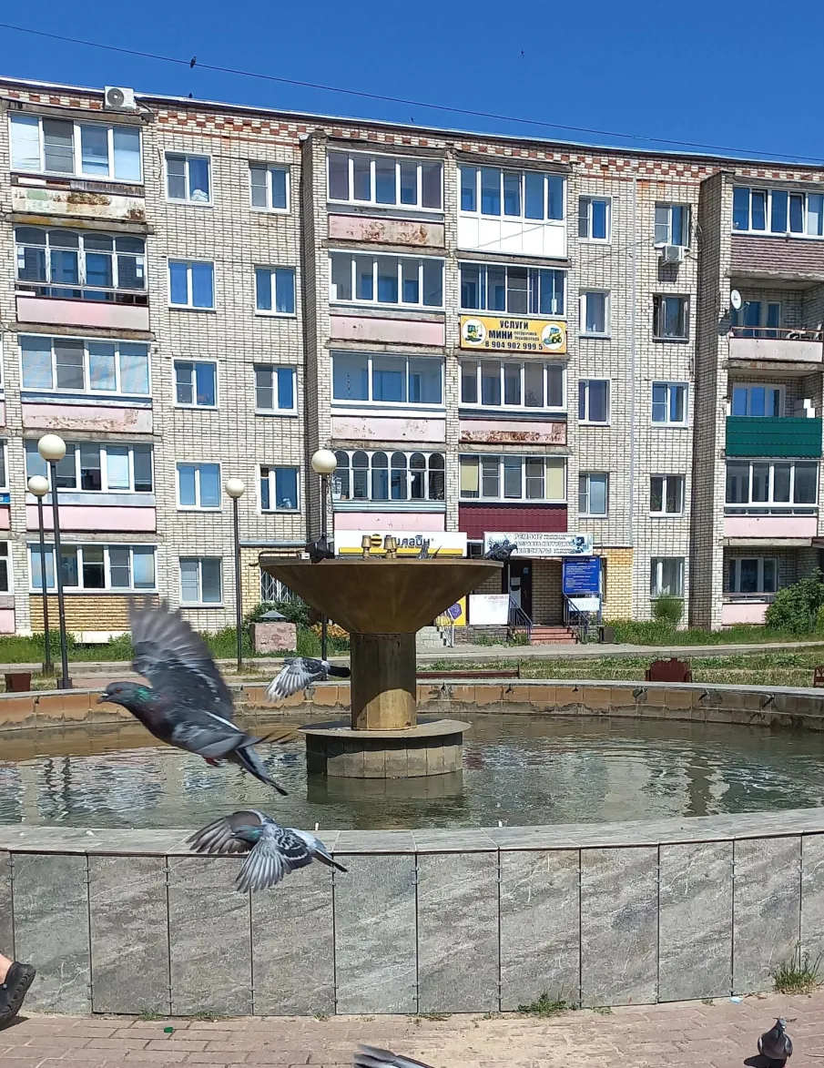 Просим не бросать в фонтан мусор!